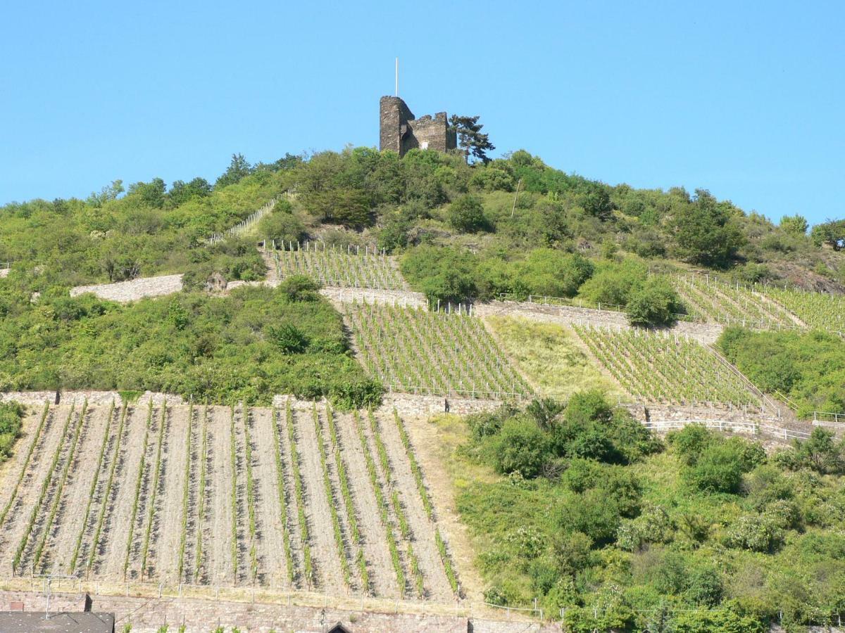 Gaestehaus Cheval Blanc ลอร์คอัมไรน์ ภายนอก รูปภาพ
